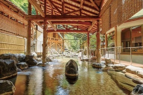 社・加西・福崎 発
【依山楼岩崎】三朝温泉で選べるかに会席2